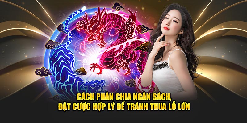 cach-phan-chia-ngan-sach-dat-cuoc-hop-ly-de-tranh-thua-lo-lon-meo-hay-xoso66